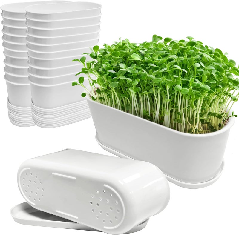 Torfican 20 Set Window Herb Planter Box Rectangular,8.5x3.5 Inch White Plastic Planters with Multiple Drainage Holes and Trays,Indoor Succulent Cactus Mint Flower Pot for Windowsill,Garden Balcony - Image 1